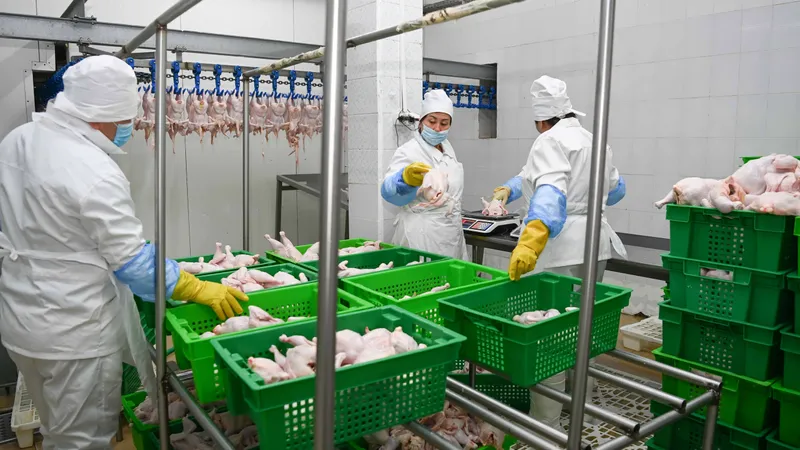 Крупную партию российской птицы развернули на границе Казахстана