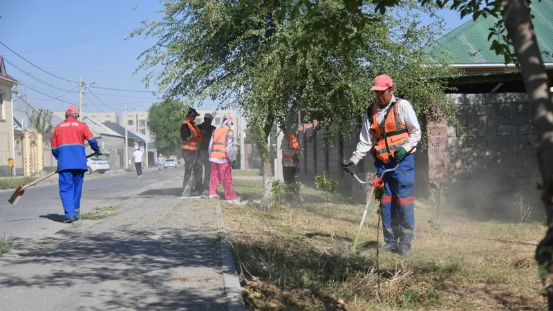 Масштабная экологическая акция прошла в Шымкенте