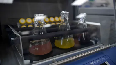 Лаборатория, медицинская лаборатория, анализы, лабораторные пробирки, лаборатории, наука, исследование, исследования, лабораторные исследования, лабораторное исследование, научные исследования, научное исследование, фото - Новости Zakon.kz от 04.03.2026 12:10