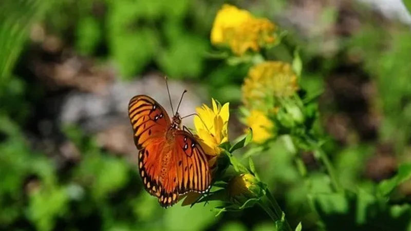 Гороскоп на 21 августа: удача на вашей стороне