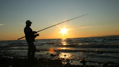 рыбак, человек с удочкой на берегу моря, фото - Новости Zakon.kz от 22.08.2025 14:25