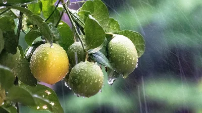 штормовое предупреждение, фото - Новости Zakon.kz от 22.08.2025 20:03