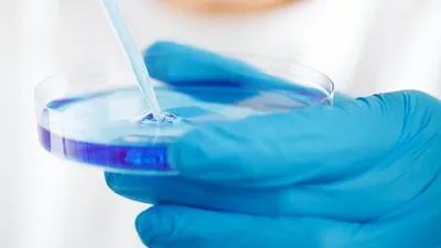 в США участились случаи заражения поедающими плоть бактериями, фото - Новости Zakon.kz от 22.08.2025 22:19