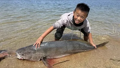 Мальчик поймал огромную рыбу, фото - Новости Zakon.kz от 24.08.2025 03:30