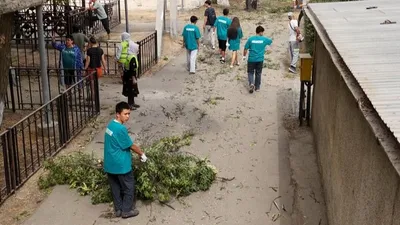 субботник, Шымкент, фото - Новости Zakon.kz от 23.08.2025 17:57