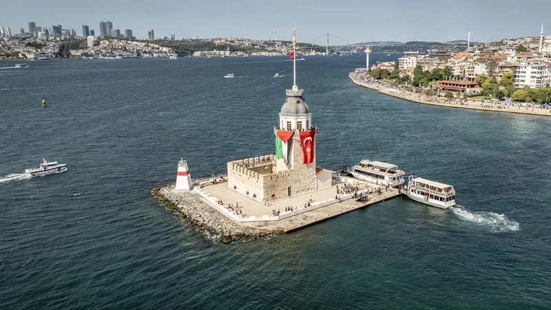 В море Стамбула прошла акция в поддержку Газы