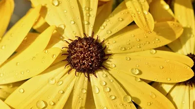 штормовое предупреждение, фото - Новости Zakon.kz от 24.08.2025 21:06