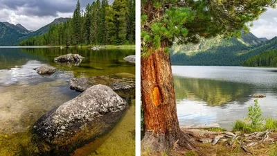 фотограф вновь порадовал казахстанцев поразительными снимками, фото - Новости Zakon.kz от 24.08.2025 21:23