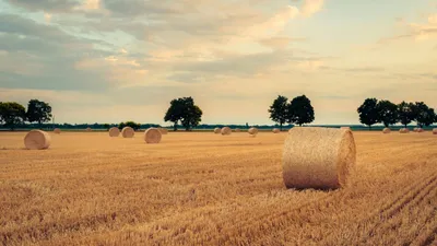 , фото - Новости Zakon.kz от 26.08.2025 17:21