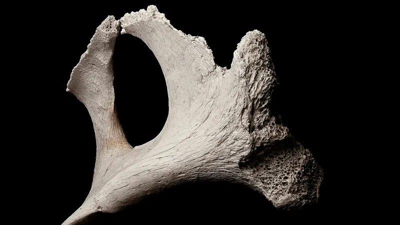 Ученые обнаружили неизвестную ветвь человеческого рода