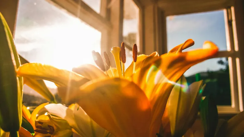 Жаркое завершение лета: в Алматы, Шымкенте до +37°С и без осадков