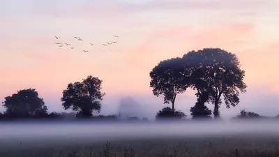 , фото - Новости Zakon.kz от 27.08.2025 15:02