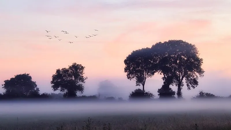 Туман, пыльная буря и гроза: штормовое предупреждение объявили в ряде областей РК