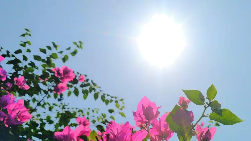 Сильная жара до +40°С надвигается на один регион Казахстана в среду