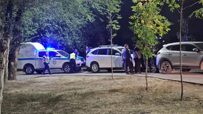 Тело неизвестного человека нашли в камышах около парка в Алматы