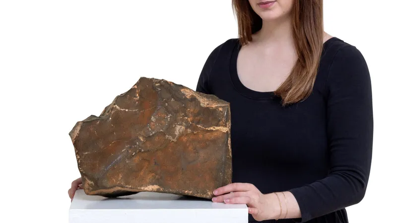 Самый большой кусок Марса ушел с молотка