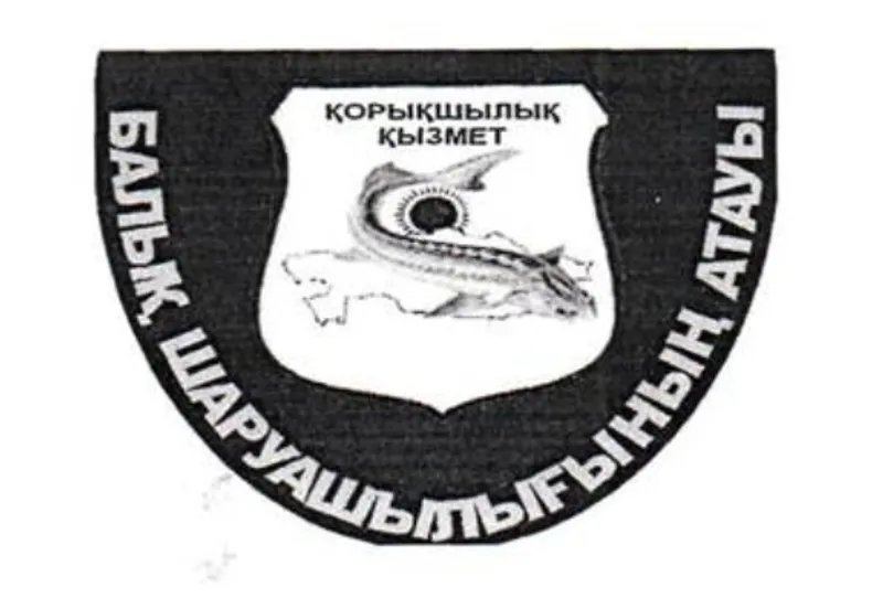 шеврон нарукавный, фото - Новости Zakon.kz от 27.08.2025 09:42