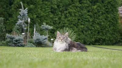 , фото - Новости Zakon.kz от 18.09.2025 09:29