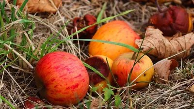 Гороскоп на 27 августа, фото - Новости Zakon.kz от 27.08.2025 08:05