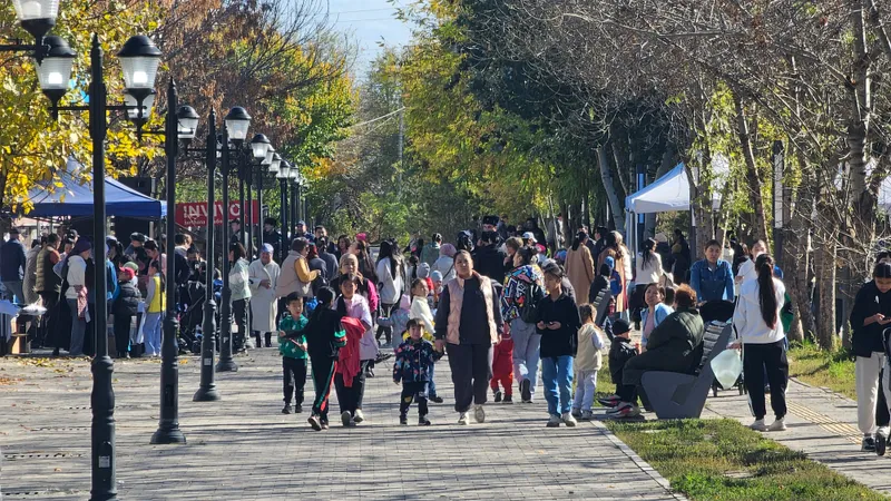 Как в Акмолинской области создают условия для развития молодежи и защищают от экстремизма и терроризма