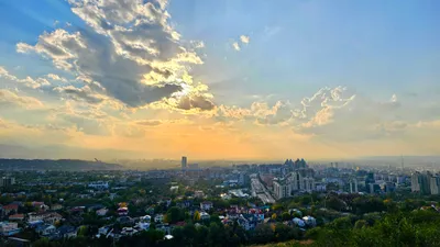 , фото - Новости Zakon.kz от 22.10.2025 17:17