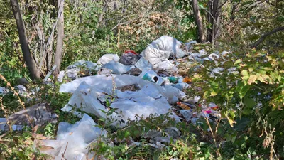 Мусор, мусорная свалка, стихийная свалка, стихийные свалки, сурет - Zakon.kz жаңалық 02.03.2026 09:42