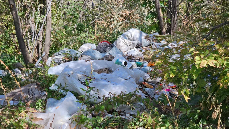 Әкімдіктерге қоғамдық орындарды ластағаны үшін айыппұл салу құқығы берілді