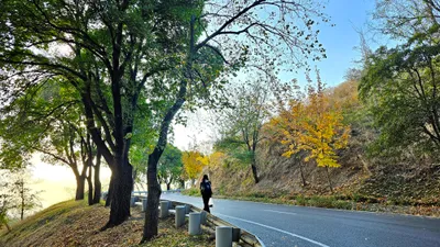, фото - Новости Zakon.kz от 12.09.2026 17:28