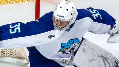 Хоккей Подготовка Сезон, фото - Новости Zakon.kz от 27.08.2025 13:10