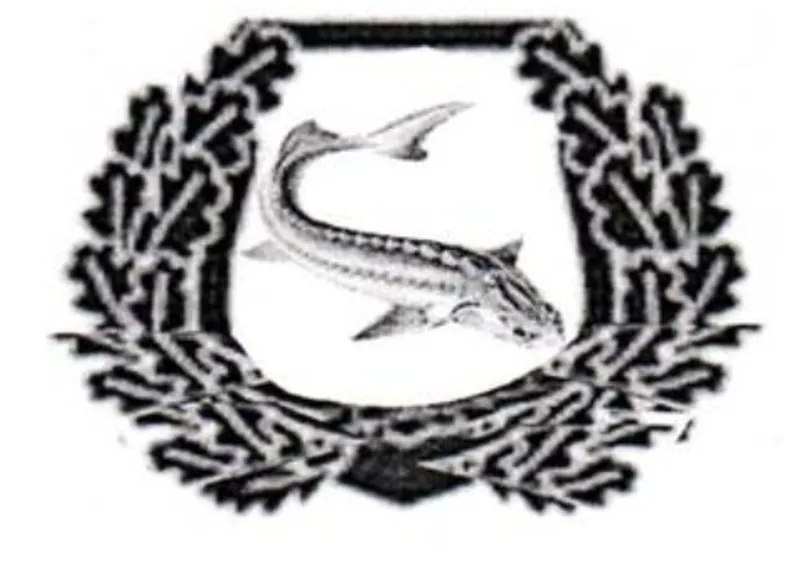 эмблема нарукавная, фото - Новости Zakon.kz от 27.08.2025 09:42