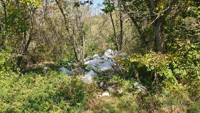 Мусор, мусорная свалка, стихийная свалка, стихийные свалки, фото - Новости Zakon.kz от 02.03.2026 09:24
