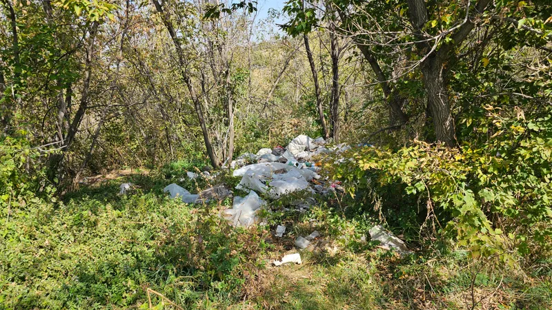 Акиматы получили право штрафовать казахстанцев за загрязнение общественных мест