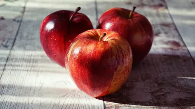 яблоки, возведение садов, Шымкент, мошенничество, прокуратура, фото - Новости Zakon.kz от 27.08.2025 12:48