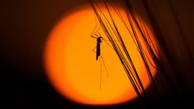 , фото - Новости Zakon.kz от 29.08.2025 18:01