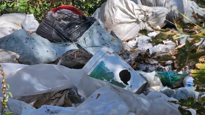 Мусор, мусорная свалка, стихийная свалка, стихийные свалки, фото - Новости Zakon.kz от 21.01.2026 06:30