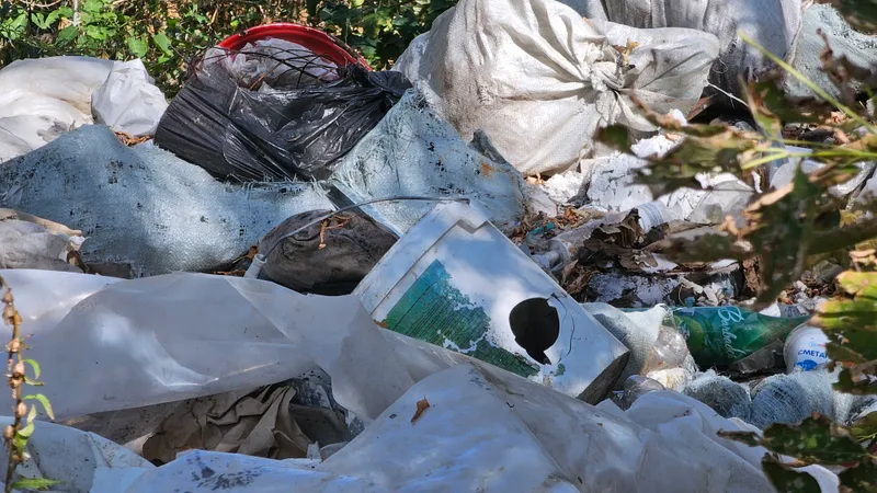 Казахстанская школьница с помощью нейросети придумала экопакет, который растворяется в воде