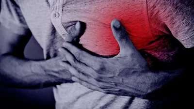 сердце, здоровье, кардиология , фото - Новости Zakon.kz от 27.08.2025 23:38