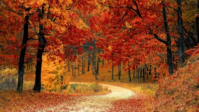 , фото - Новости Zakon.kz от 02.09.2025 12:06