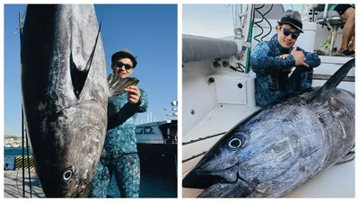 Настоящий соғым: казахстанец выловил 250-килограммового голубого тунца в Средиземном море, фото - Новости Zakon.kz от 27.08.2025 17:00