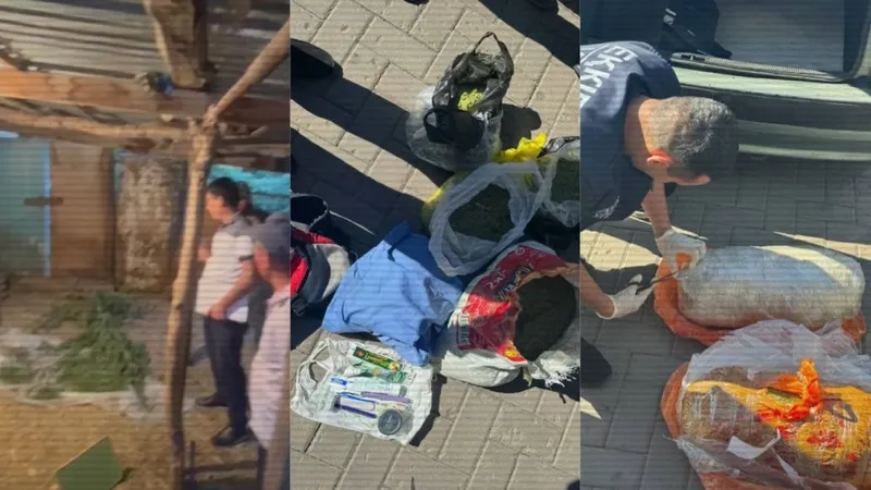 Более 11 тонн наркотиков изъято из незаконного оборота с начала 2025 года – МВД РК