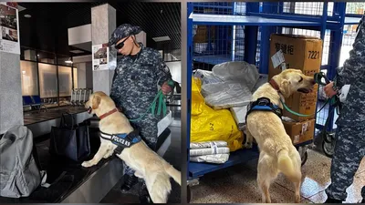 ОПМ, наркотики, полиция, фото - Новости Zakon.kz от 28.08.2025 18:30