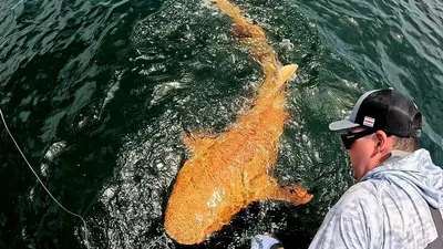 Морские обитатели, океан, туристы, фото - Новости Zakon.kz от 28.08.2025 08:48