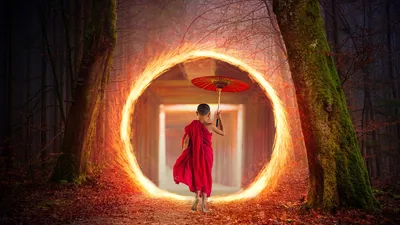 Лес, ребенок, портал, фото - Новости Zakon.kz от 29.08.2025 00:30