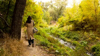 , фото - Новости Zakon.kz от 03.09.2025 17:45