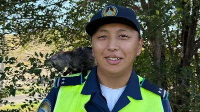 Полицейские не смогли пройти мимо котенка на дереве в Усть-Каменогорске , фото - Новости Zakon.kz от 29.08.2025 18:47