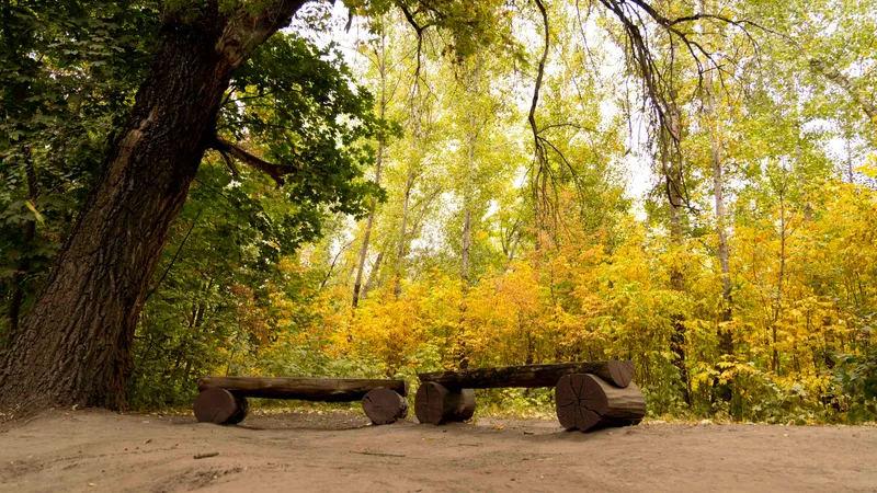 Алматыда жаңбыр қашан тоқтайды