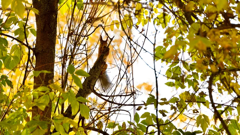 Күздің қара суығы келе жатыр: Алдағы күндері Қазақстан өңірлерінде ауа райы айтарлықтай өзгереді