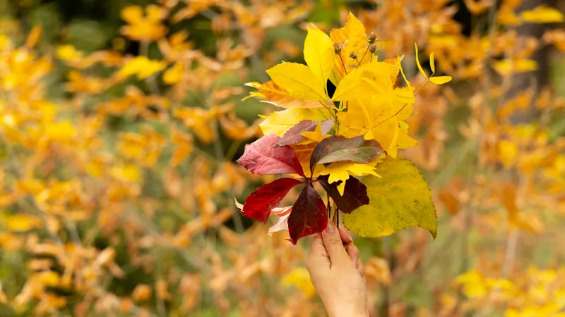 Алматыда апта соңында күн ашық әрі жылы болады