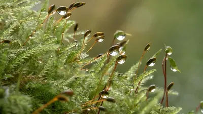 штормовое предупреждение, фото - Новости Zakon.kz от 29.08.2025 20:21