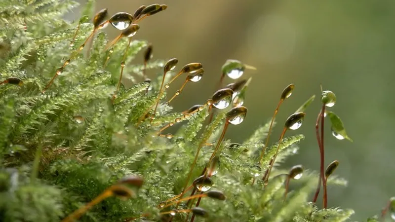 Непогода обрушится на Казахстан в субботу